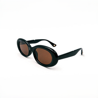 Dark Brown Polarized Lens
