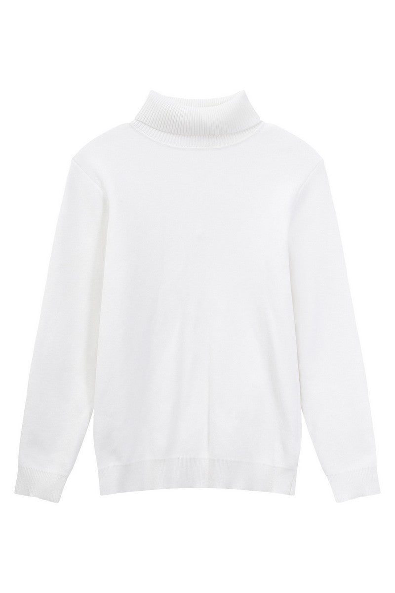 Tencel Cashmere Fitted Turtleneck Sweater