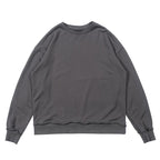 CZ Essential Gray Crewneck